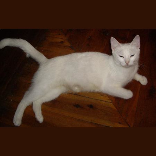Photo of Princess