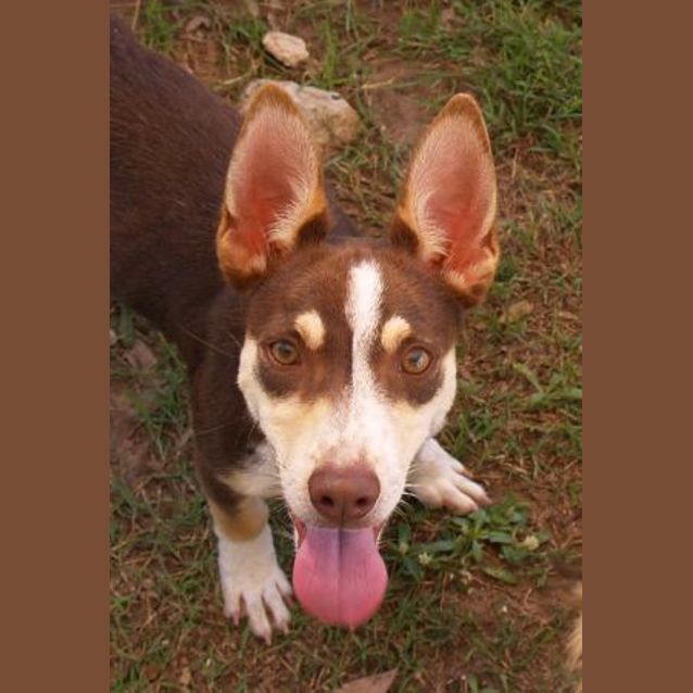 Photo of Buddy4