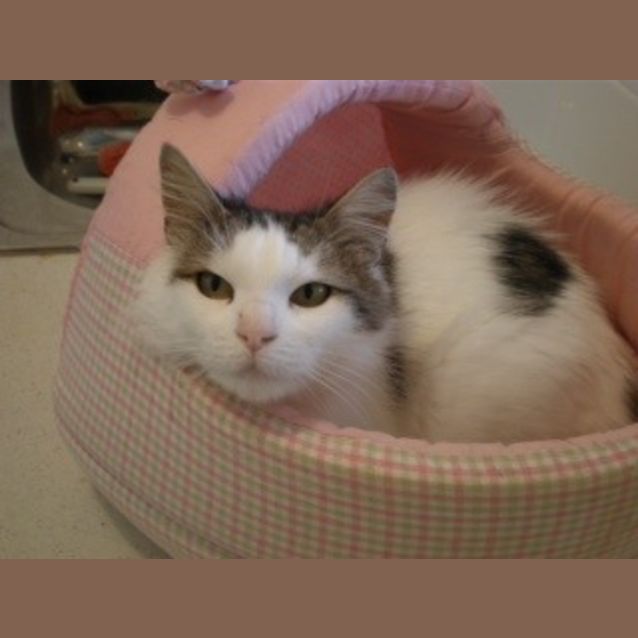 Photo of Dutchess