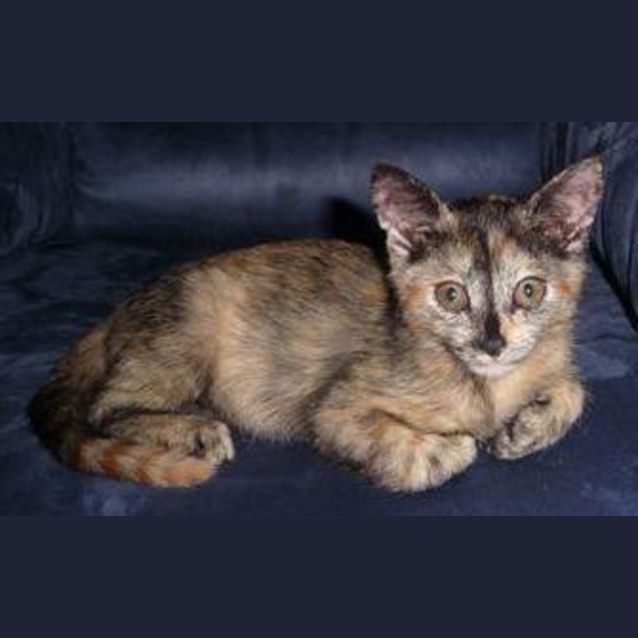 Photo of Sammy