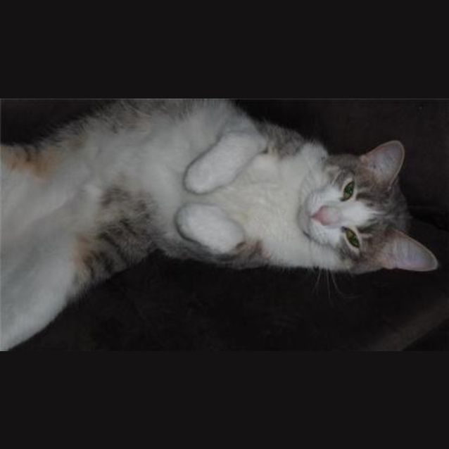 Photo of Molly