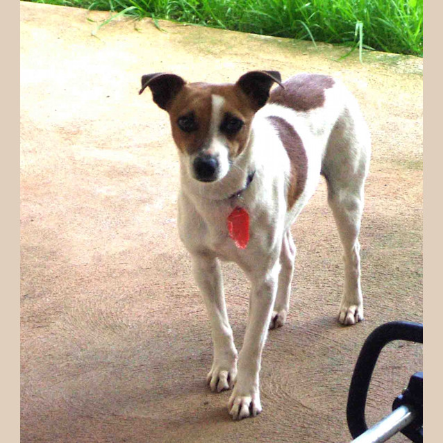 Photo of Carter (On Trial 23/12/12)