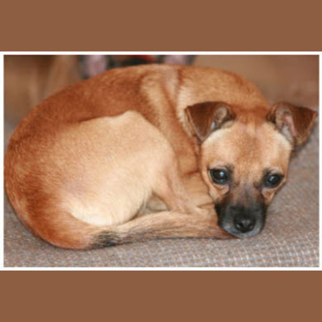 Photo of Ajax