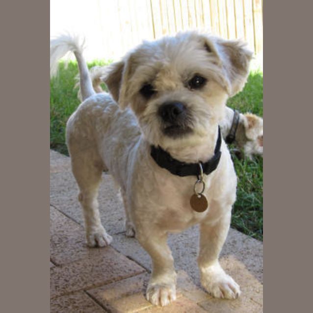 Photo of Jacques
