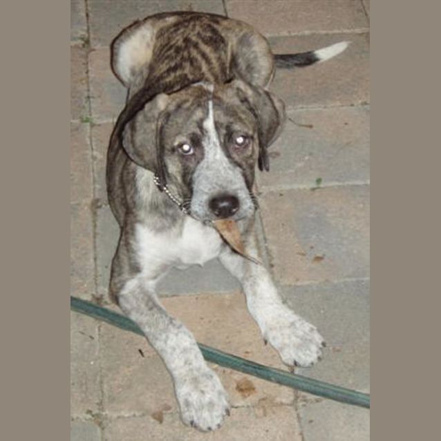 Photo of Gus