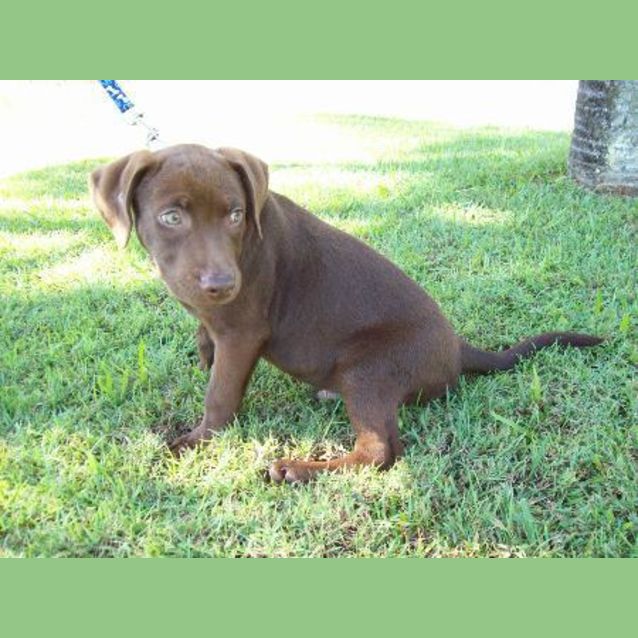 Photo of Colby
