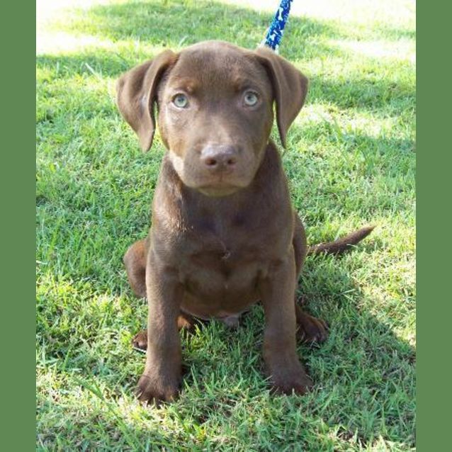 Photo of Colby