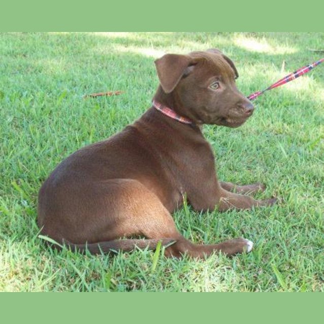 Photo of Rylie