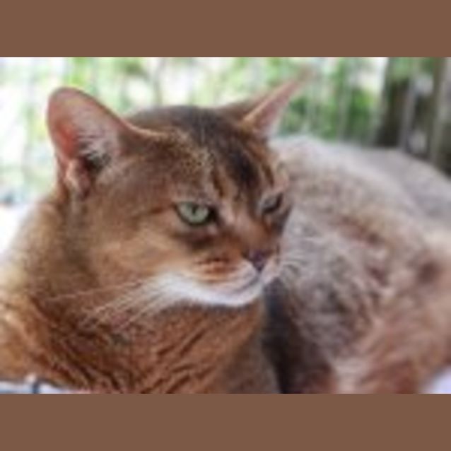 Photo of Miss Lucious