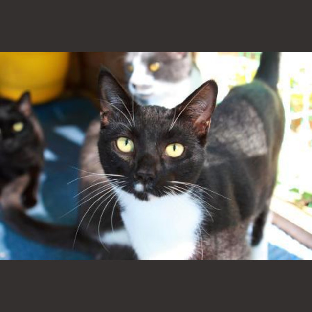 Photo of Mr Tux