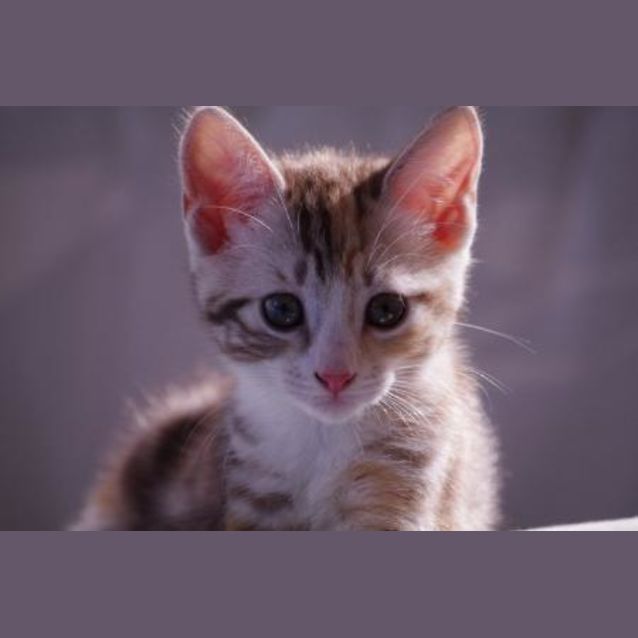 Photo of Louise