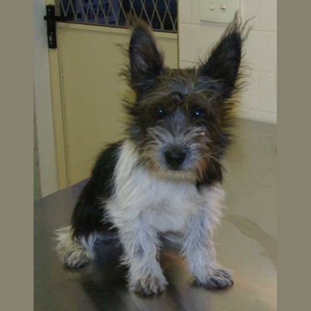 Photo of Bobby