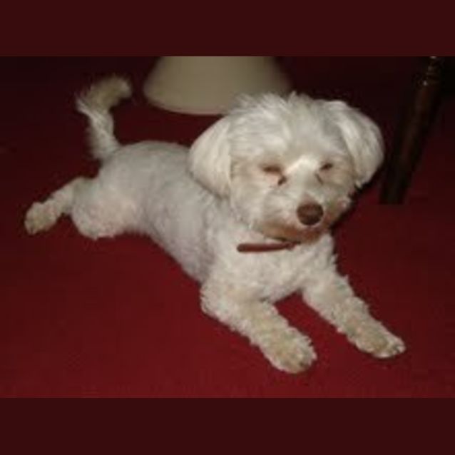 Photo of Jewel