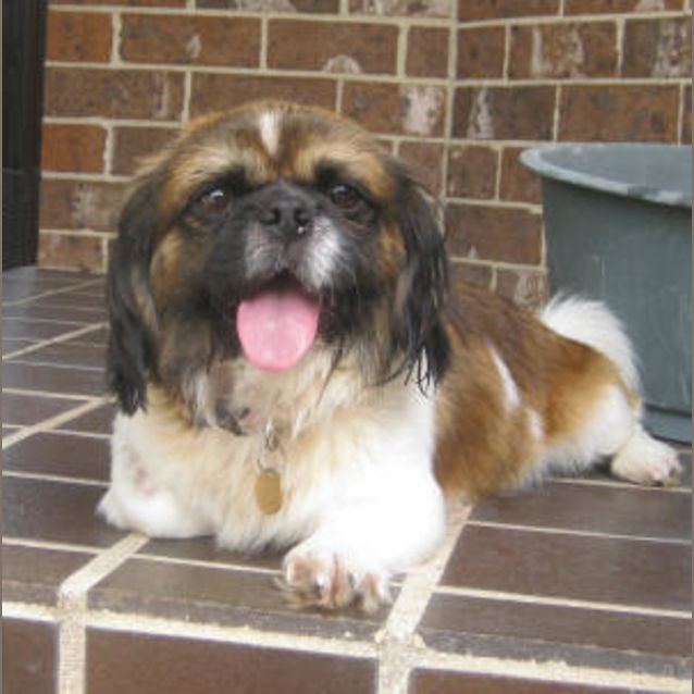 Photo of Tobias