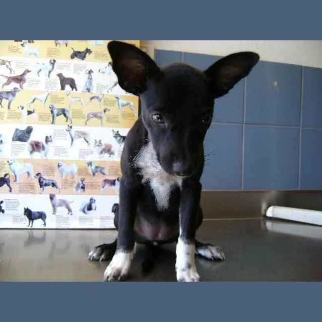 Photo of Bobbi