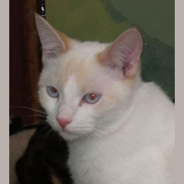 Photo of Vinnie