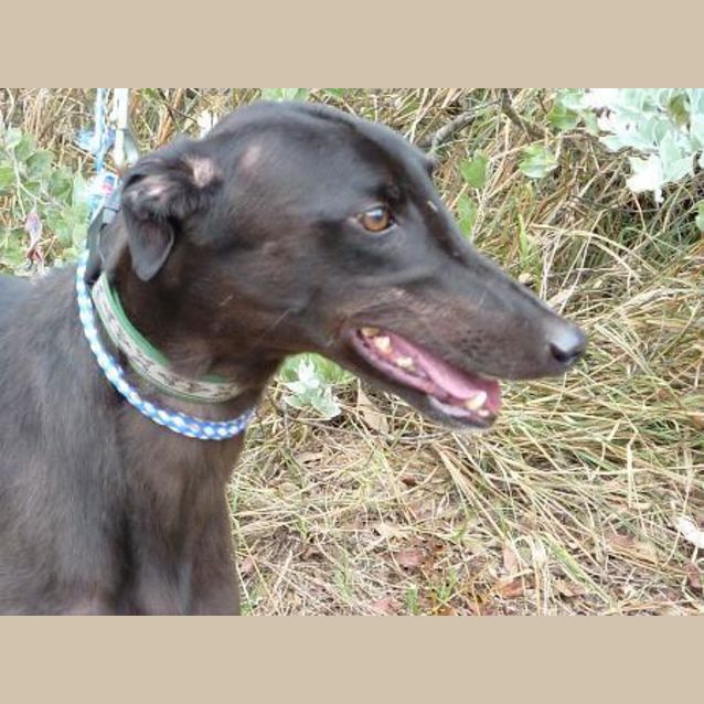 Photo of Jet