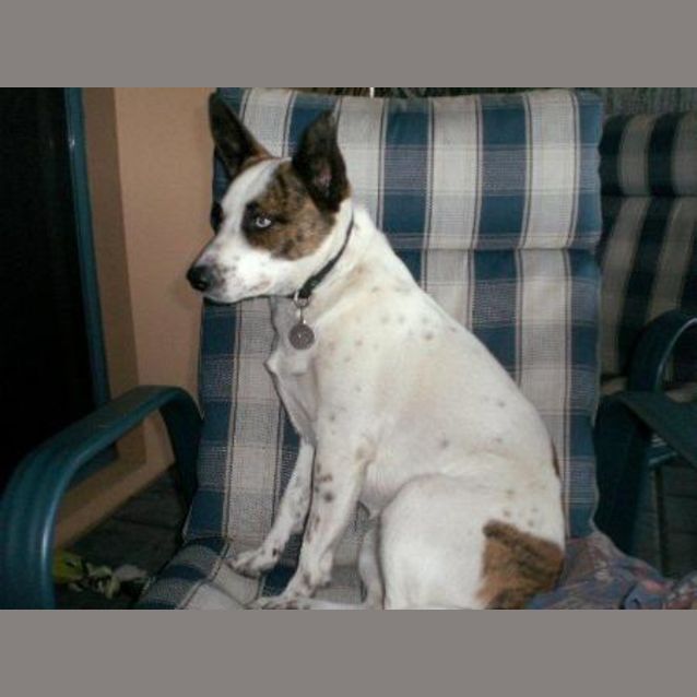 Photo of Remi/Star Gazer