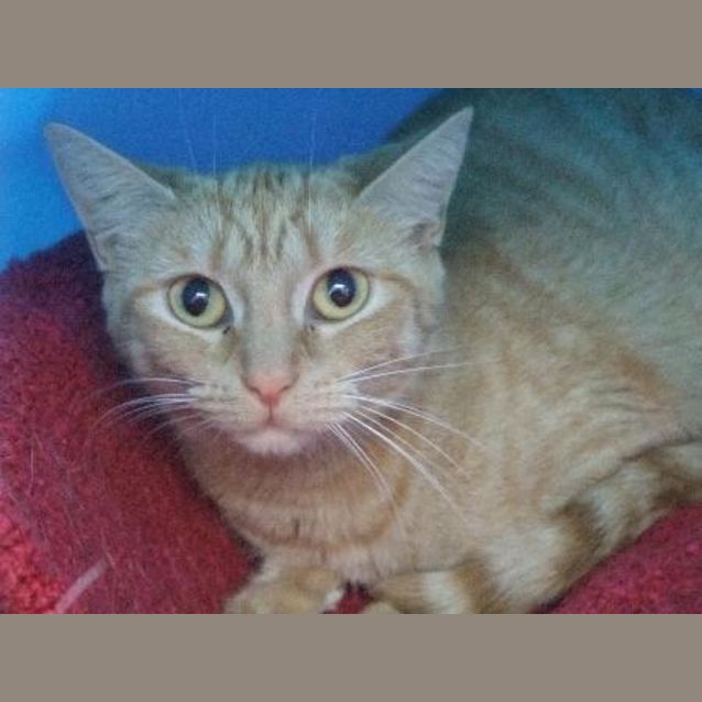 Photo of Charlie   C4210