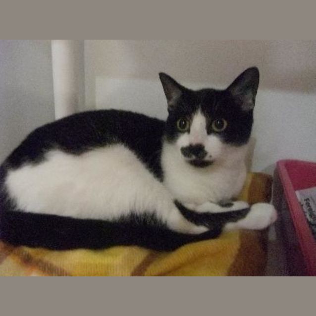 Photo of Billy   C7474