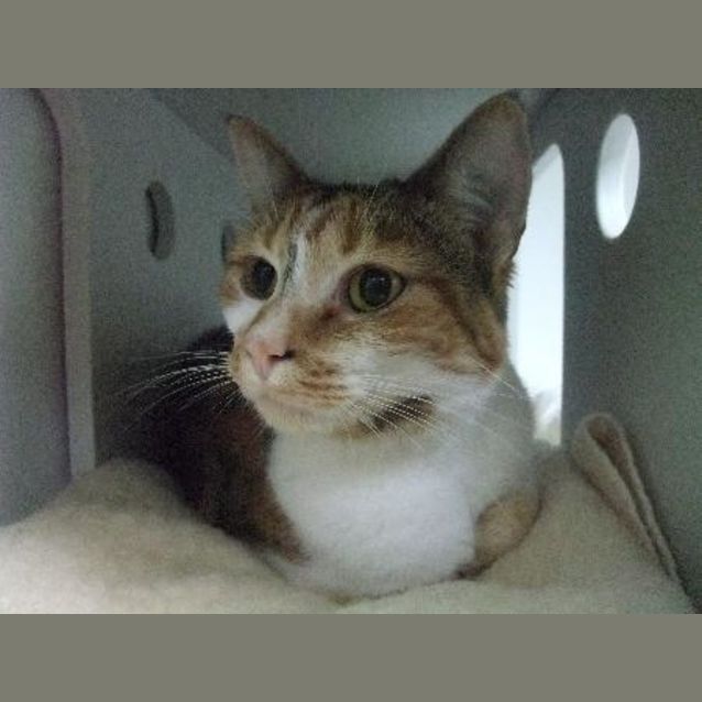 Photo of Messy   C5405