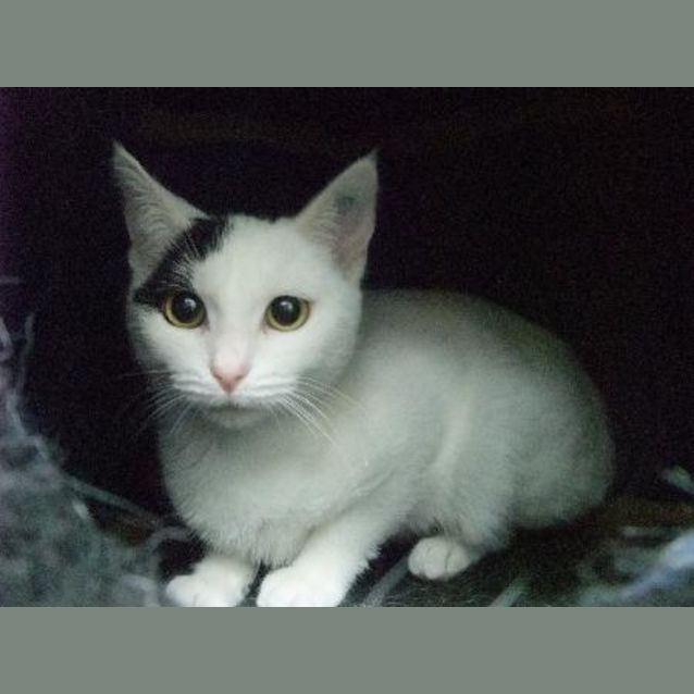 Photo of Maggie   C7569