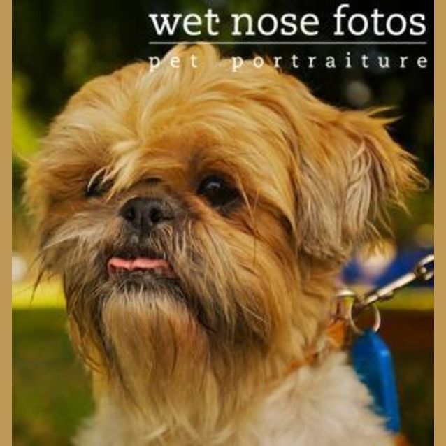 Photo of Teddy