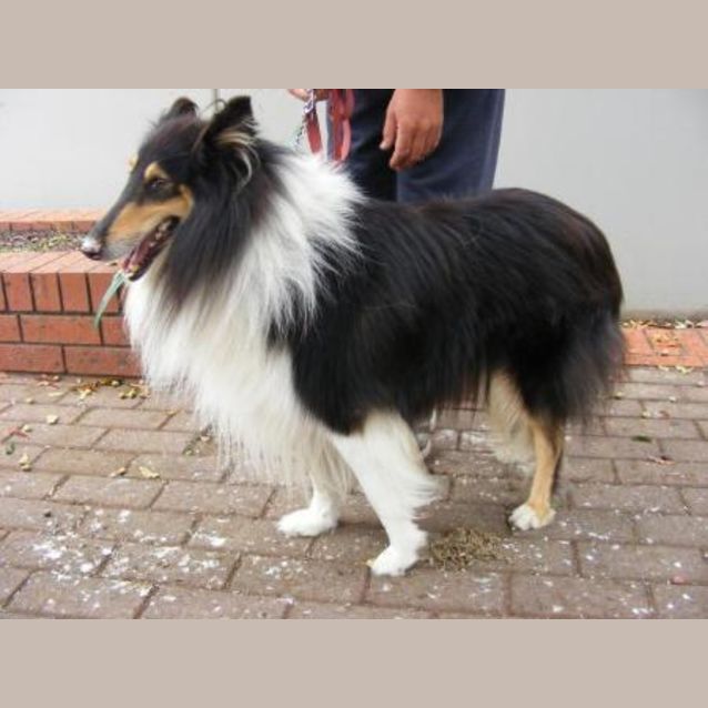 Photo of Mick  *****On Hold*****