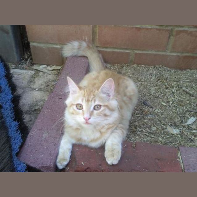 Photo of Jazz