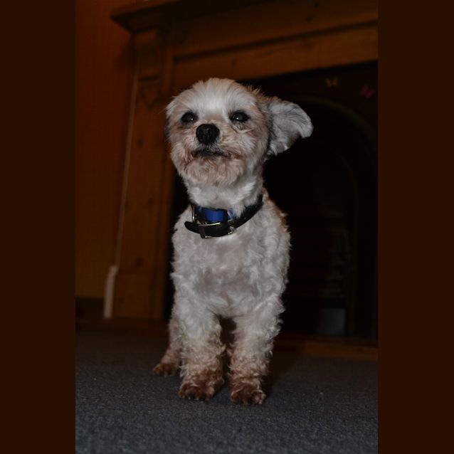 Photo of Jack Gabell