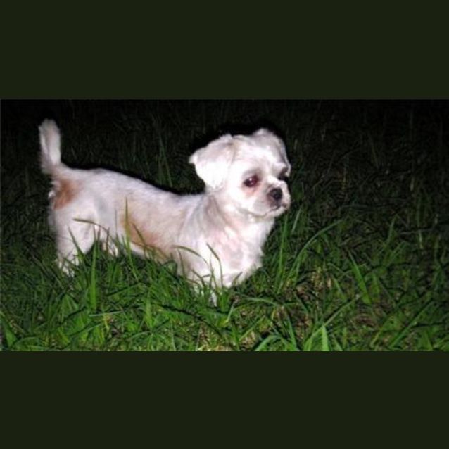 Photo of Zuzu  On Trial **