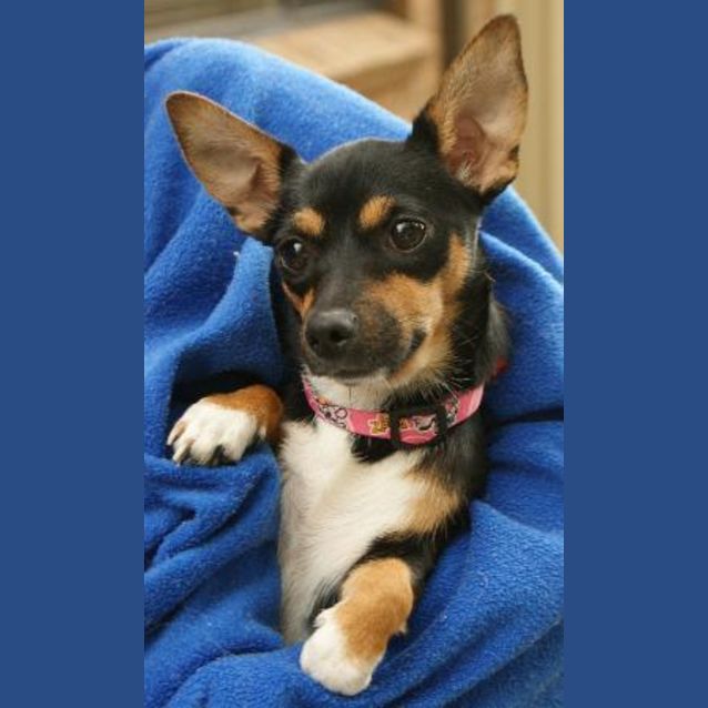 Photo of Lucy