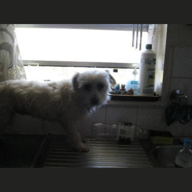 Photo of Mitzi