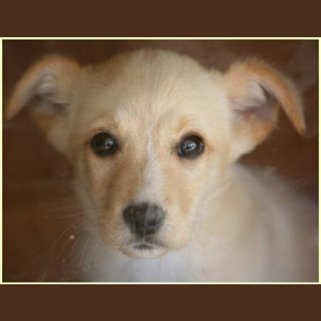 Photo of Bessy