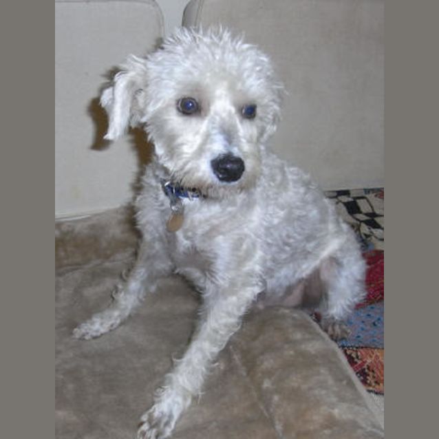 Photo of Max