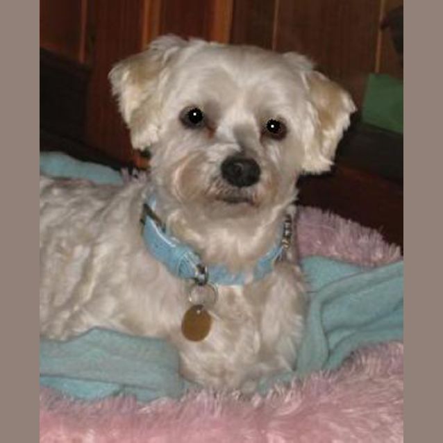 Photo of Lochie