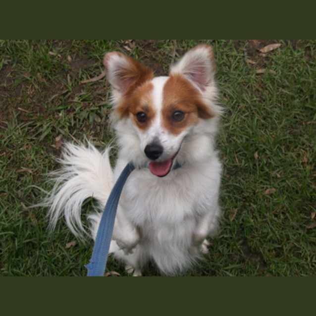 Photo of Milly
