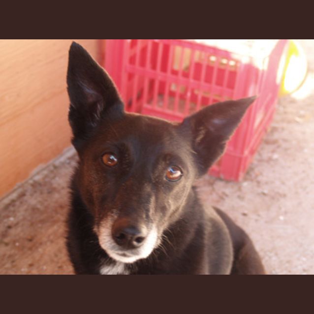 Photo of Cindy
