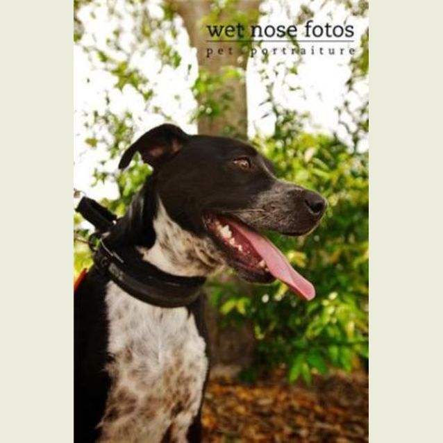 Photo of Buddy