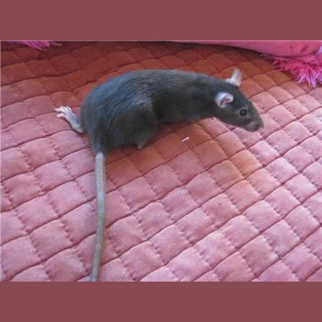 Photo of Tina