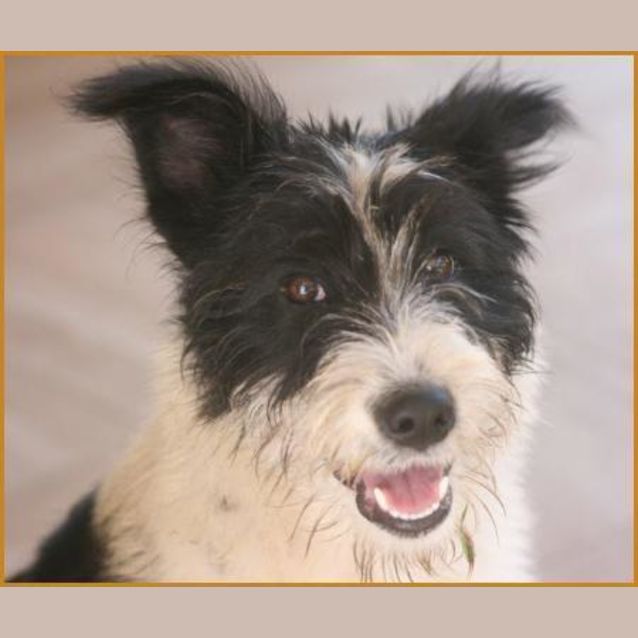 Photo of Winifred (Winnie)