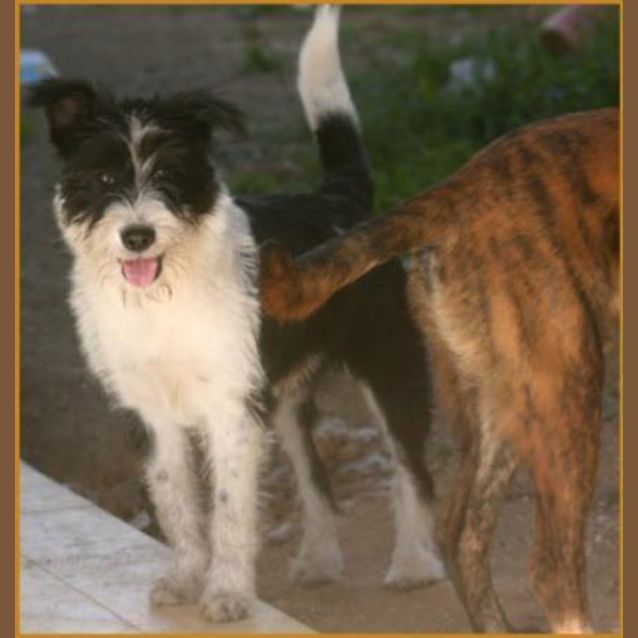 Photo of Winifred (Winnie)