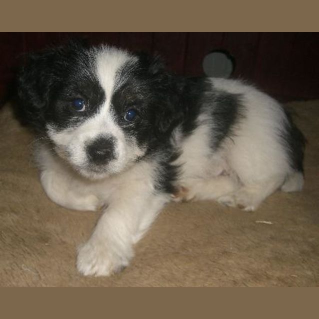 Photo of Charlie
