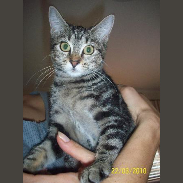 Photo of Sweetie