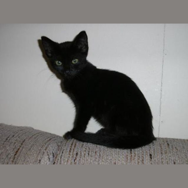 Photo of Charlie