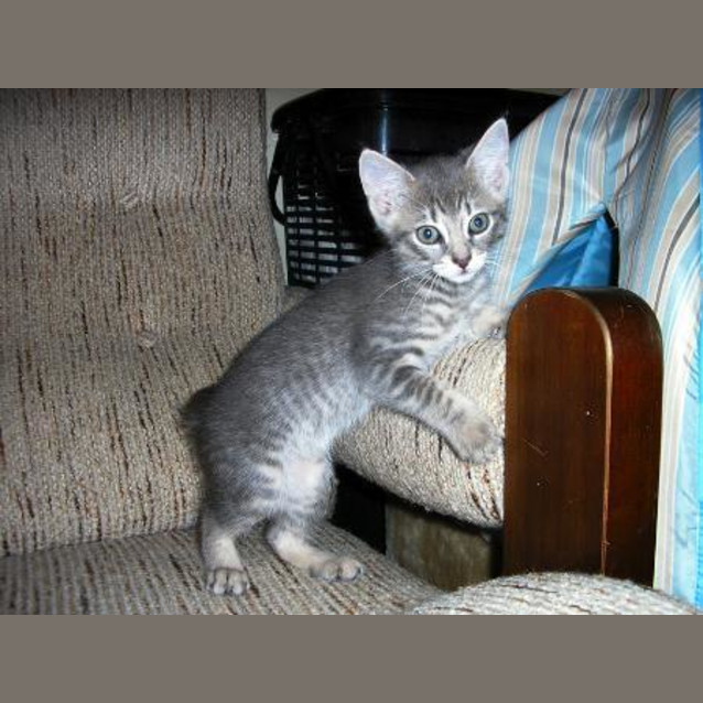 Photo of Turbo