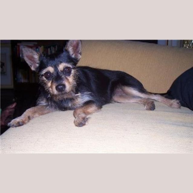 Photo of Milly