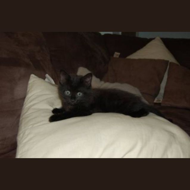 Photo of Jet