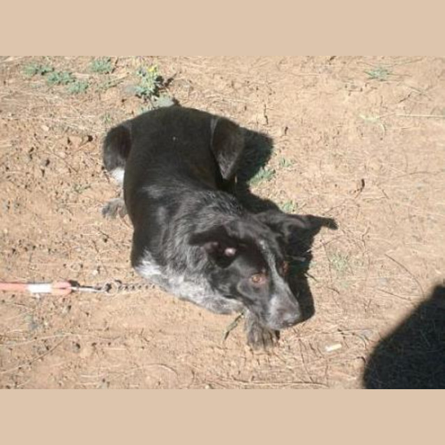 Photo of Holly
