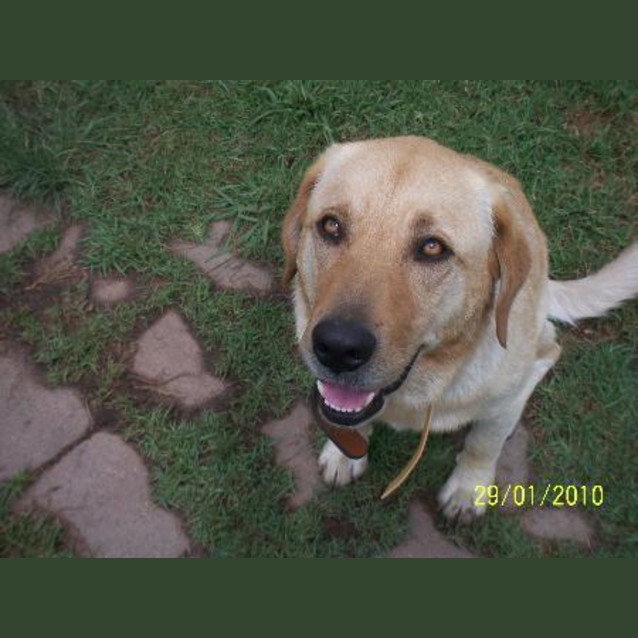 Photo of Cooper